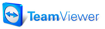 Das Bild zeigt das TeamViewer Logo
